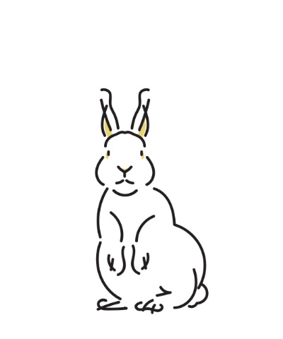 うさぎ