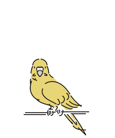 鳥