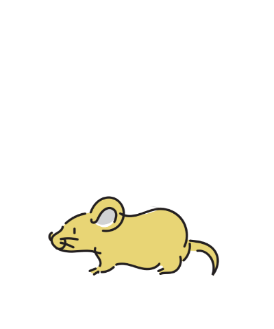 小動物