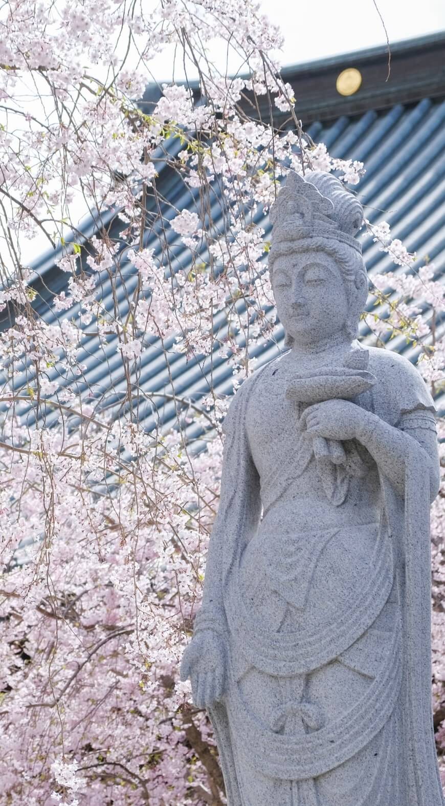教念寺